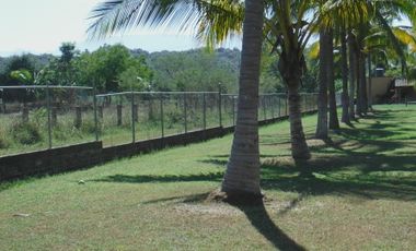 TERRENOS CON ALTA PLUSVALIA  EN COL CAMPESTRE LA HIGUERA A 18 KM DE VALLARTA