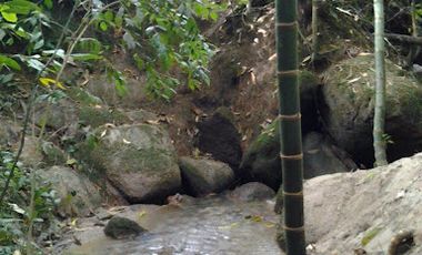 VENTA de FINCAS en GIRARDOTA