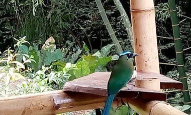 VENTA de FINCAS en GIRARDOTA