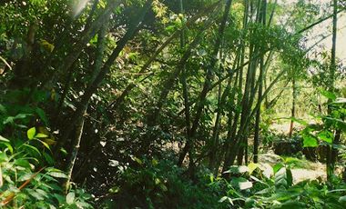 VENTA de FINCAS en GIRARDOTA