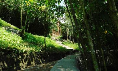 VENTA de FINCAS en GIRARDOTA