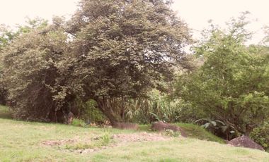 lote en venta en dapa. Cod V2625911