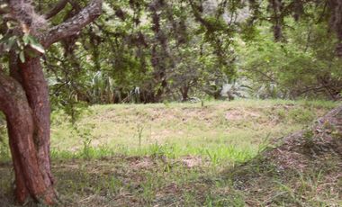 lote en venta en dapa. Cod V2625911