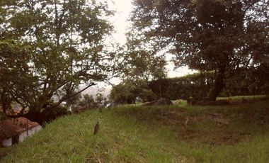 lote en venta en dapa. Cod V2625911