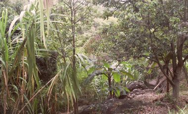 lote en venta en dapa. Cod V2625911