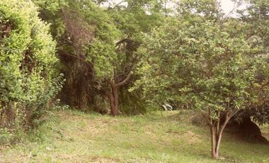 lote en venta en dapa. Cod V2625911