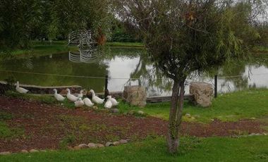 TERRENO EN VENTA EN FRACCIONAMIENTO RÚSTICO