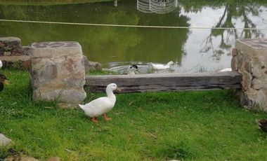 TERRENO EN VENTA EN FRACCIONAMIENTO RÚSTICO