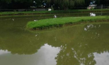 TERRENO EN VENTA EN FRACCIONAMIENTO RÚSTICO