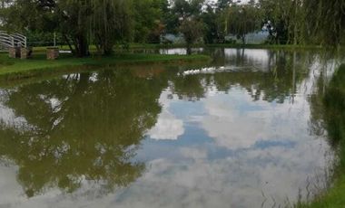 TERRENO EN VENTA EN FRACCIONAMIENTO RÚSTICO