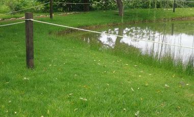 TERRENO EN VENTA EN FRACCIONAMIENTO RÚSTICO