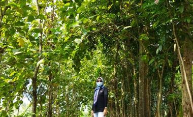 Rumah Nyaman, Cocok Hunian Area Nanggulan