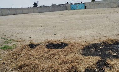 Terreno bardeado en renta cerca Aeropuerto Toluca