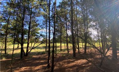 LOTE EN VENTA - GOLF l 218 - COSTA ESMERALDA