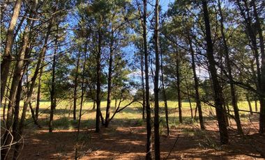 LOTE EN VENTA - GOLF l 218 - COSTA ESMERALDA