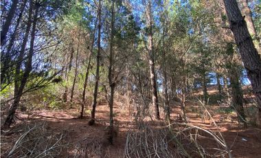 LOTE EN VENTA - GOLF l 218 - COSTA ESMERALDA