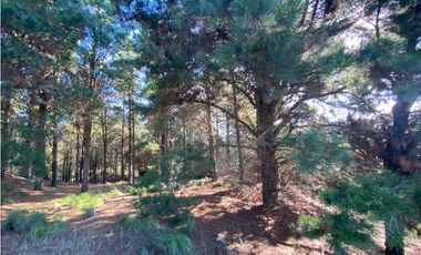 LOTE EN VENTA - GOLF l 218 - COSTA ESMERALDA