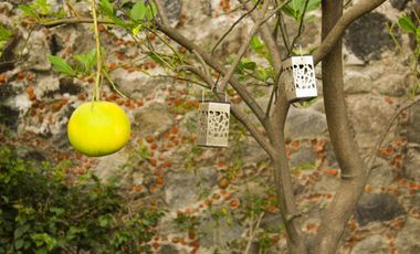 🌳 Casa con Alberca, Frontón y Vista Espectacular – $4,900,000 🏡