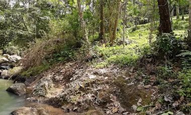 Land for sale river view in Tabanan Bali