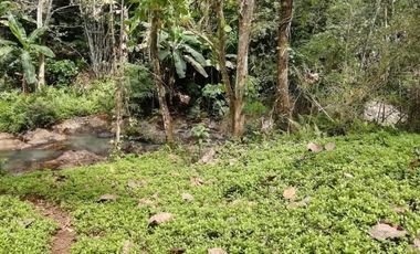 Land for sale river view in Tabanan Bali