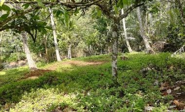 Land for sale river view in Tabanan Bali
