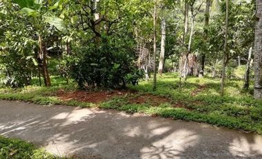 Land for sale river view in Tabanan Bali