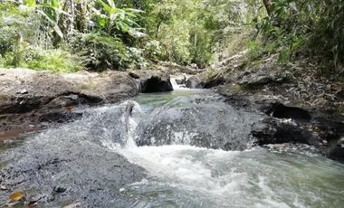 Land for sale river view in Tabanan Bali