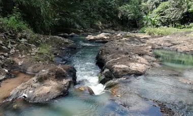 Land for sale river view in Tabanan Bali