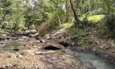 Land for sale river view in Tabanan Bali