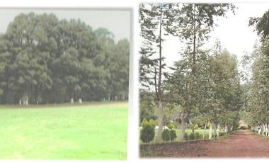 Rancho En Venta En Hidalgo