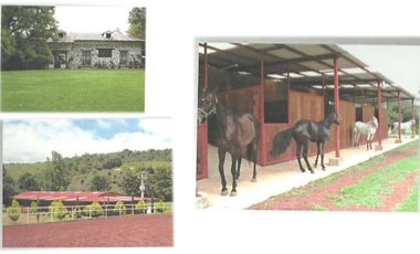 Rancho En Venta En Hidalgo