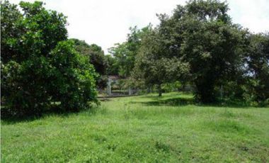 VENTA DE LOTE EN CHAME 3,000 M2 CON VISTA AL MAR