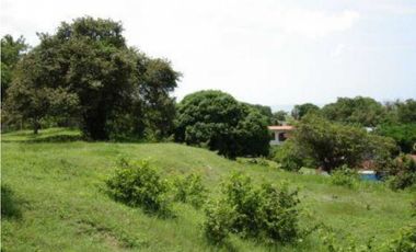 VENTA DE LOTE EN CHAME 3,000 M2 CON VISTA AL MAR