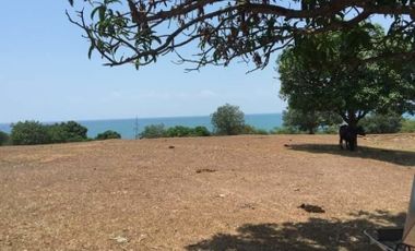 78 HECTARES TITLED LOT FOR SALE, ROSARIO, LA UNION