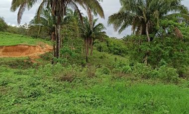 Rancho ganadero y de cultivo