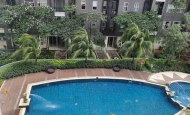Disewakan Apartemen Silkwood Alam Sutera Tangerang Sebrang Univ Binus Studio Tower Maple