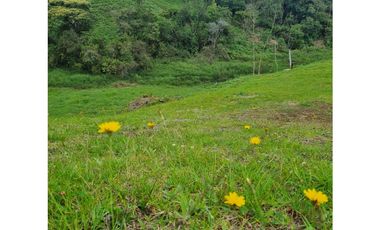 VENTA DE LOTE, EN MARINILLA ANTIOQUIA