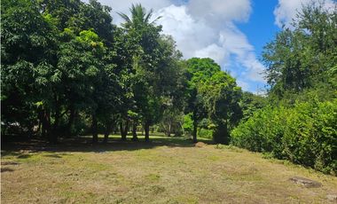 Se Vende Finca de 1 Has - en la Interamericana (H)