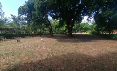 Se Vende Finca de 1 Has - en la Interamericana (H)