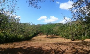 Se Vende Finca de 1 Has - en la Interamericana (H)