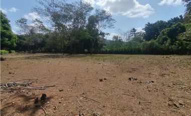 Se Vende Finca de 1 Has - en la Interamericana (H)