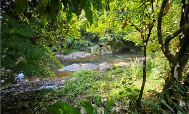 Se Vende Finca de 1 Has - en la Interamericana (H)