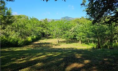 Se Vende Finca de 1 Has - en la Interamericana (H)