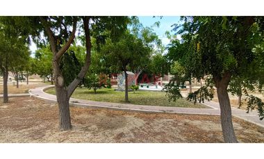 🏡✨ Terreno En Venta – Las Casuarinas 1Ra Etapa 🌳📍 🌿 (Frente A Parque) 📐🔺 Área: 118 M²