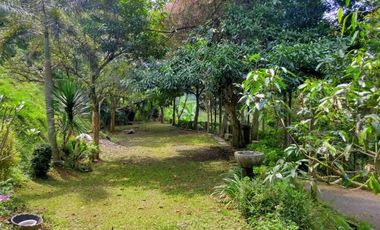 Villa mewah Dago giri Bandung dekat kawasan wisata