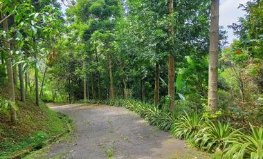 Villa mewah Dago giri Bandung dekat kawasan wisata