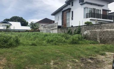 FOR SALE - Vacant Lot in Multinational Village, Paranaque City