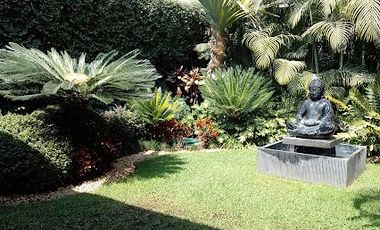 Consultorio en renta en Cuernavaca