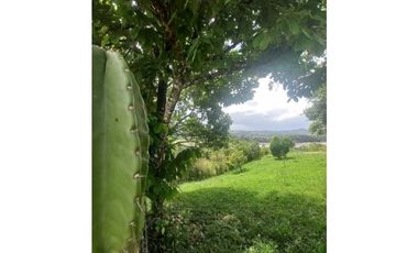 Vendo Finca Casa Campestre junto con Lote de terreno Cumaral Meta