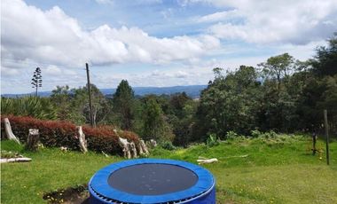 Casa para Arriendo Amoblado en Alto de Palmas